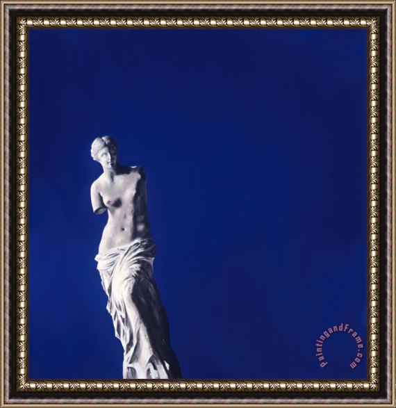 Gregory Garrett Venus En Bleu Framed Painting