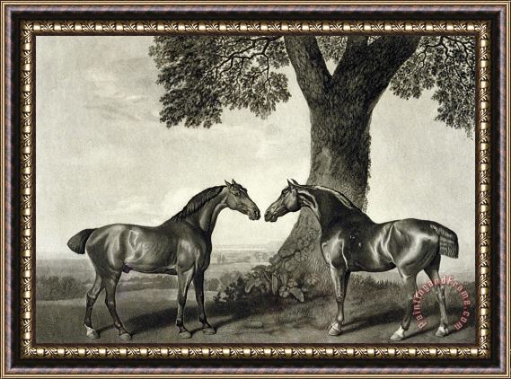 GT Stubbs Two Hunters Framed Print