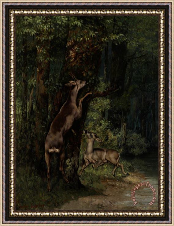 Gustave Courbet Deer In The Forest Framed Print