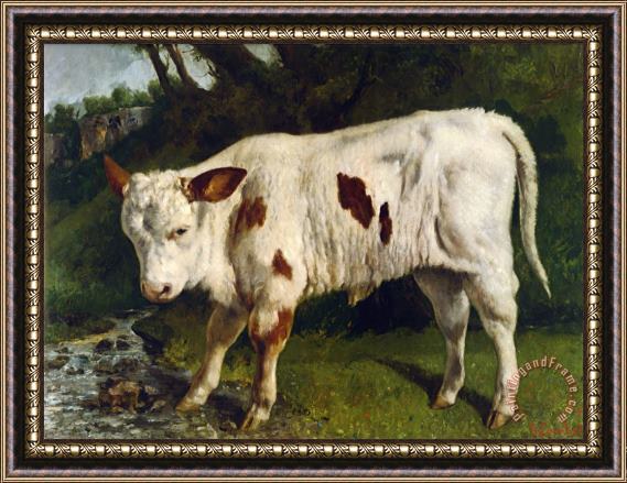 Gustave Courbet Le Veau Blanc Framed Painting