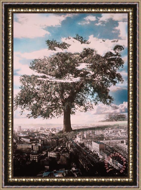 Hag Giant Tree in City Framed Painting