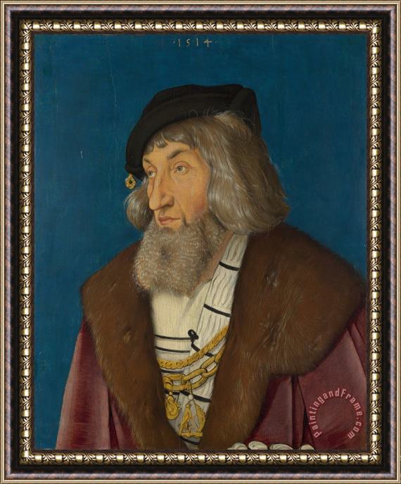 Hans Baldung Grien Portrait of a Man Framed Painting