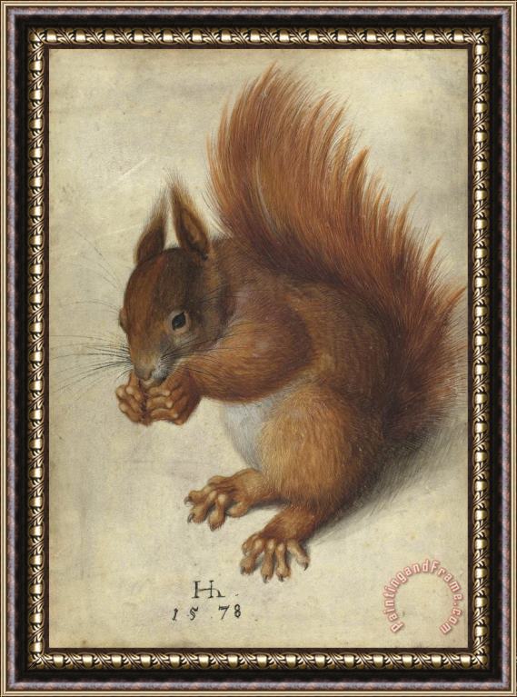 Hans Hoffmann Red Squirrel Framed Print