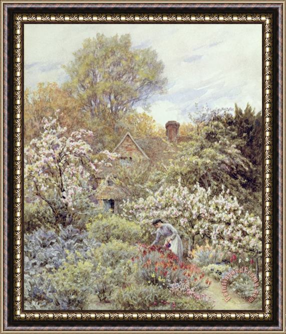 Helen Allingham A Garden in Spring Framed Painting