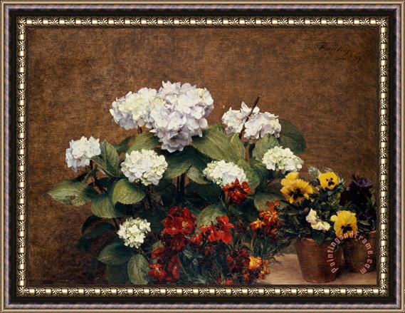 Henri Jean Fantin-Latour Hydrangeas and Wallflowers and Two Pots of Pansies Framed Painting