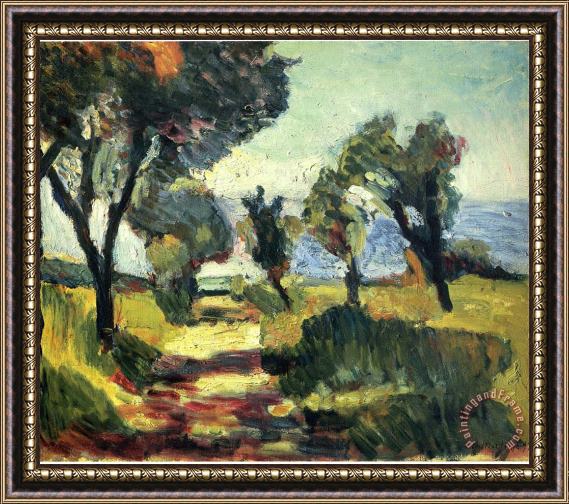 Henri Matisse Olive Trees 1898 Framed Painting