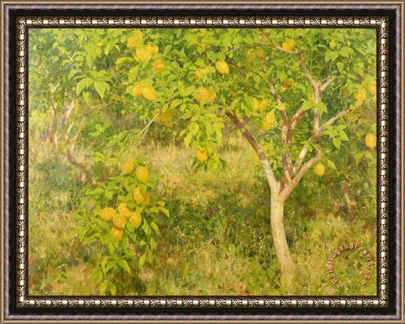 Henry Scott Tuke The Lemon Tree Framed Print