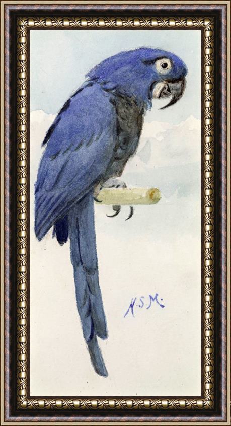 Henry Stacey Marks Hyacinth Macaw Framed Painting