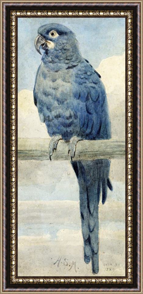 Henry Stacey Marks Hyacinthine Macaw Framed Print