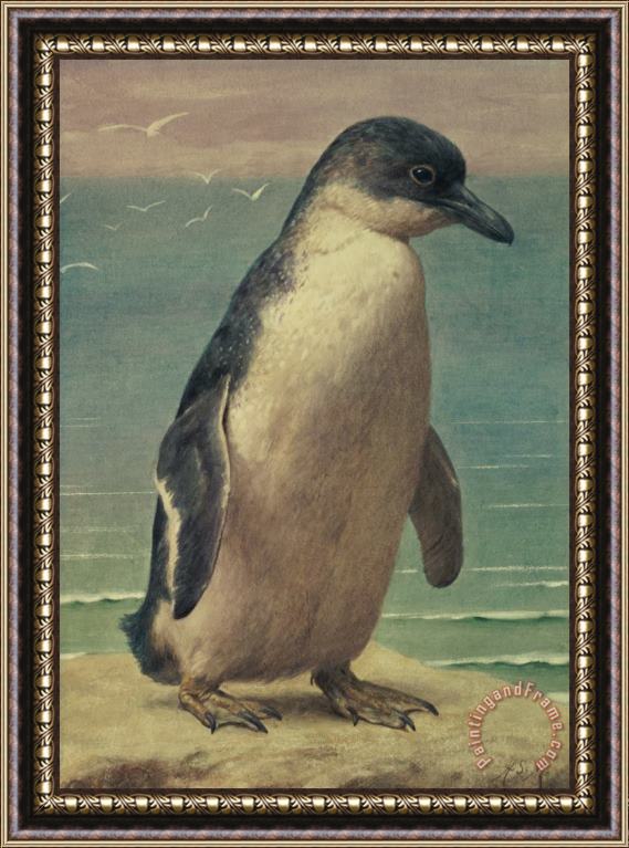 Henry Stacey Marks Study of a Penguin Framed Painting