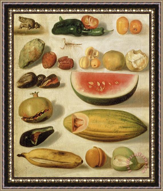 Hermenegildo Bustos Still Life with Fruit (with Scorpion And Frog) Framed Print