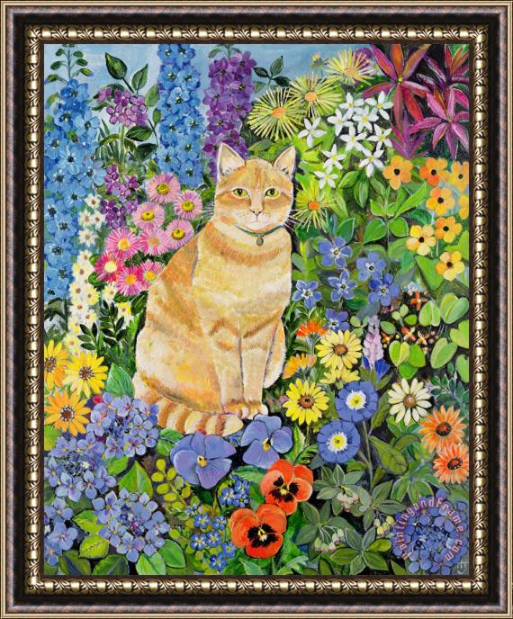 Hilary Jones Gordon S Cat Framed Painting