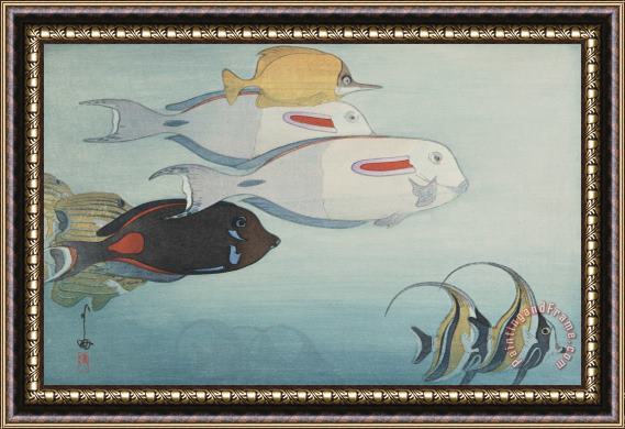 Hiroshi Yoshida Fishes of Honolulu (honoruru Suizokukan), From The American Series Framed Painting