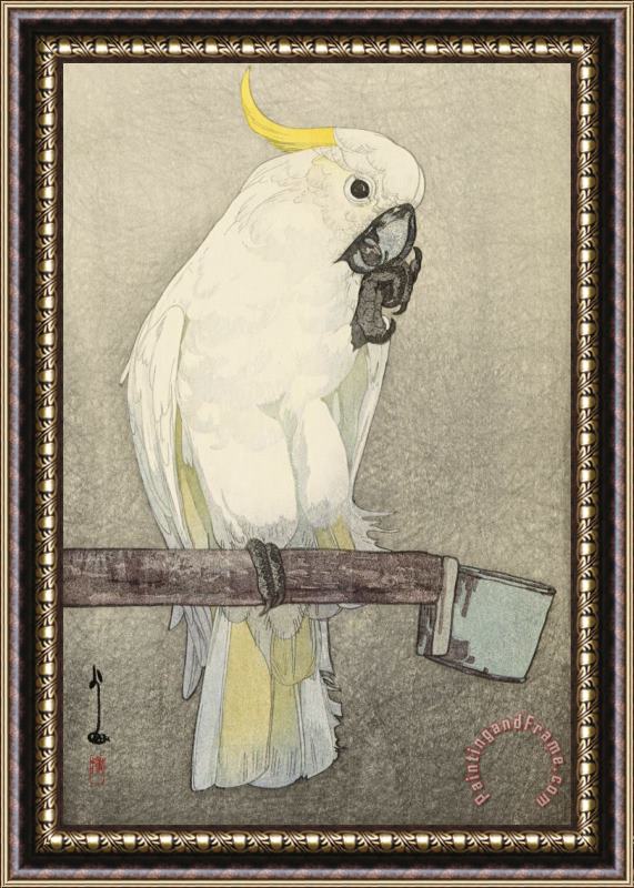 Hiroshi Yoshida Kibatan Parrot (dobutsu En, Kibatan Omu), From The Zoological Garden Series Framed Print