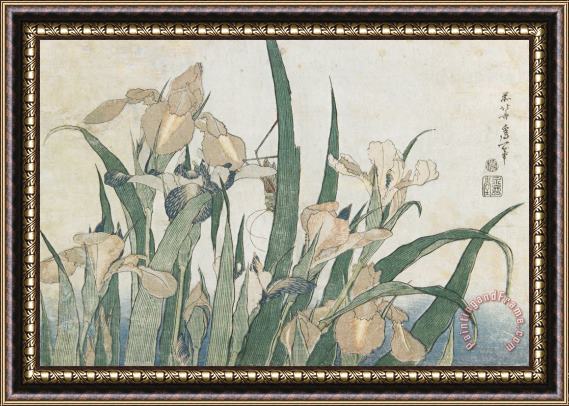 Hokusai Iris Flowers And Grasshopper Framed Print