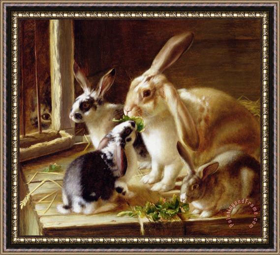 Horatio Henry Couldery Long-eared Rabbits In A Cage Watched By A Cat Framed Painting