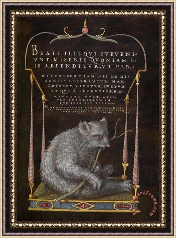 Hungarian A Sloth Framed Print