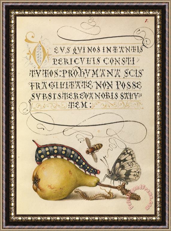 Hungarian Mira Calligraphiae Monumenta Framed Print