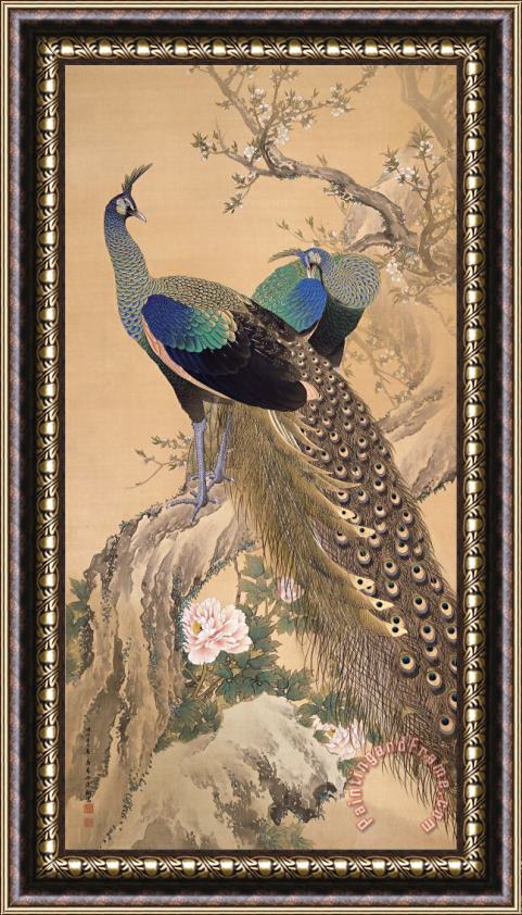 Imao Keinen A Pair of Peacocks in Spring Framed Print