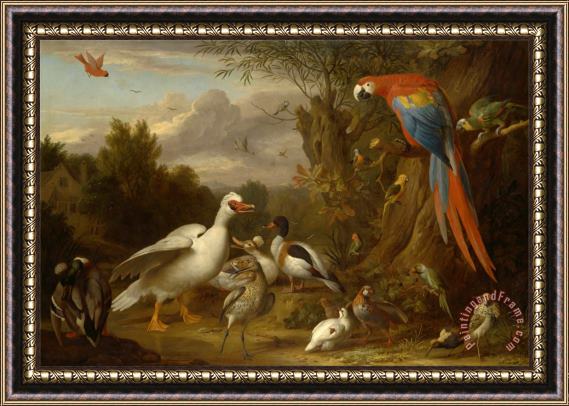 Jacob Bogdani A Macaw, Ducks, Parrots And Other Birds in a Landscape Framed Painting