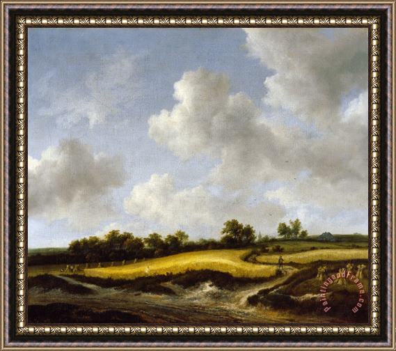 Jacob Isaacksz. Van Ruisdael Landscape with a Wheatfield Framed Painting