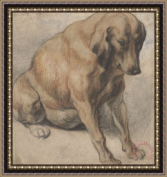 Jacob Jordaens Zittende Zwangere Hond Framed Print