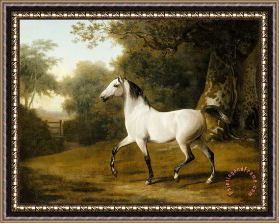 Jacques-Laurent Agasse A Grey Arab Stallion in a Wooded Landscape Framed Painting