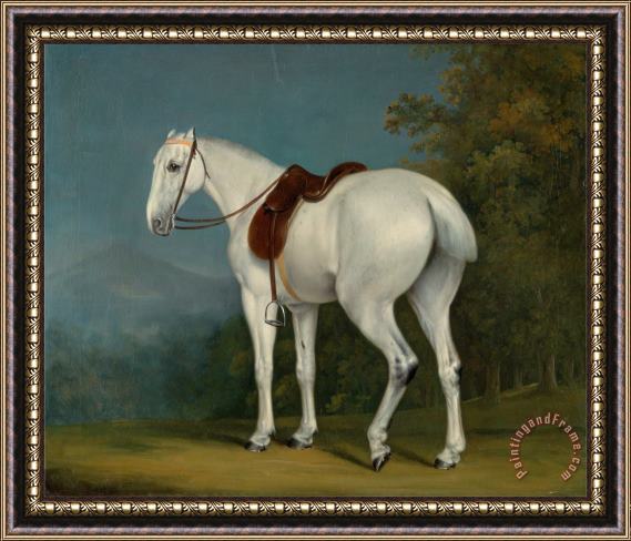 Jacques-Laurent Agasse A Lady's Grey Hunter Framed Painting