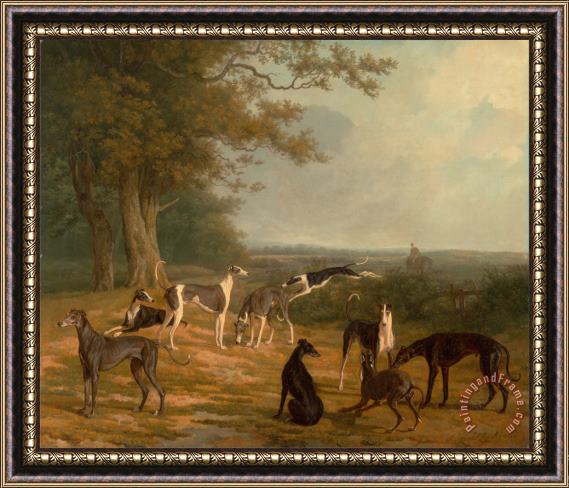 Jacques-Laurent Agasse Nine Greyhounds in a Landscape Framed Painting