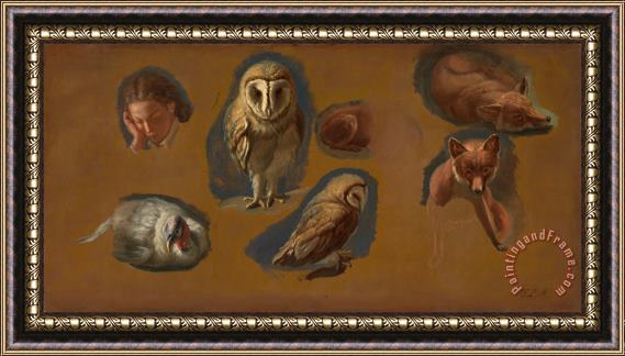 Jacques-Laurent Agasse Studies of a Fox, a Barn Owl, a Peahen, And The Head of a Young Man Framed Painting