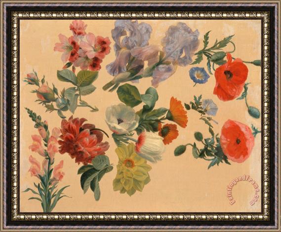 Jacques-Laurent Agasse Studies of Summer Flowers Framed Painting