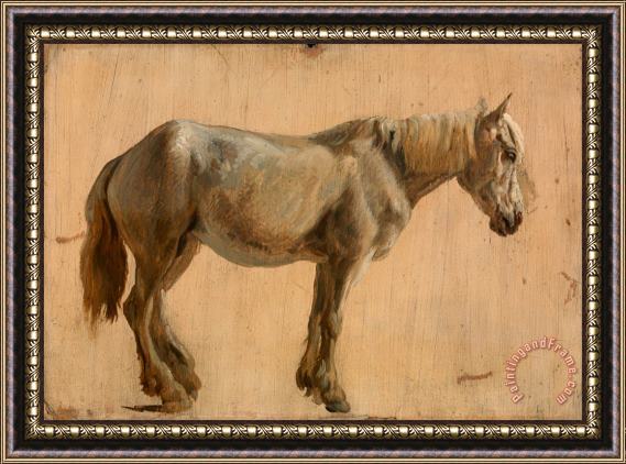 Jacques-Laurent Agasse Study of a Grey Horse Framed Painting