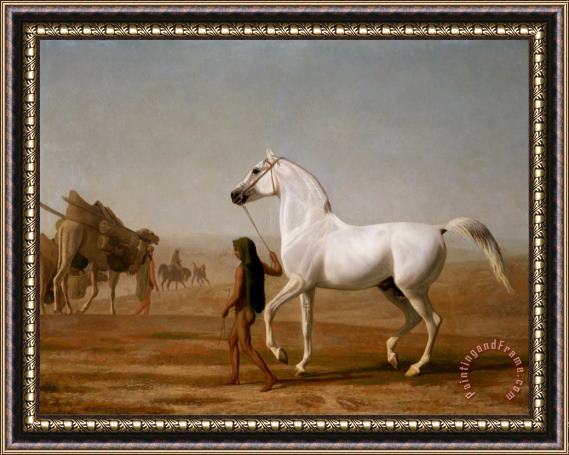 Jacques-Laurent Agasse The Wellesley Grey Arabian Led Through The Desert Framed Print