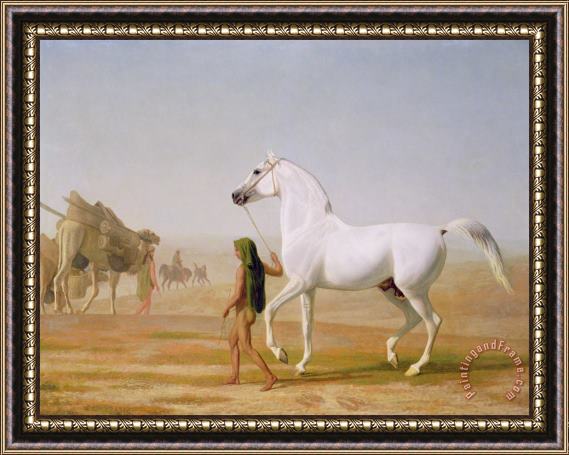 Jacques-Laurent Agasse The Wellesley Grey Arabian led through the Desert Framed Painting