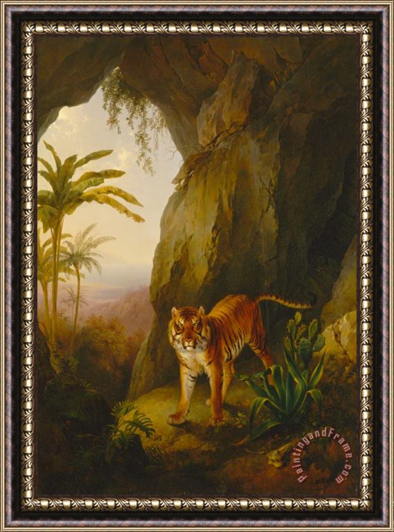 Jacques-Laurent Agasse Tiger in a Cave Framed Painting