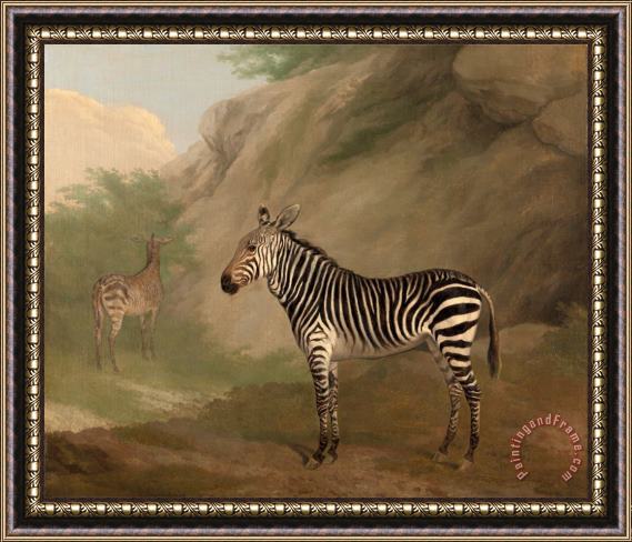 Jacques-Laurent Agasse Zebra Framed Print