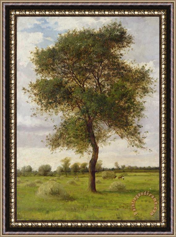 James Hey Davies Study of an Ash Tree in Summer Framed Painting