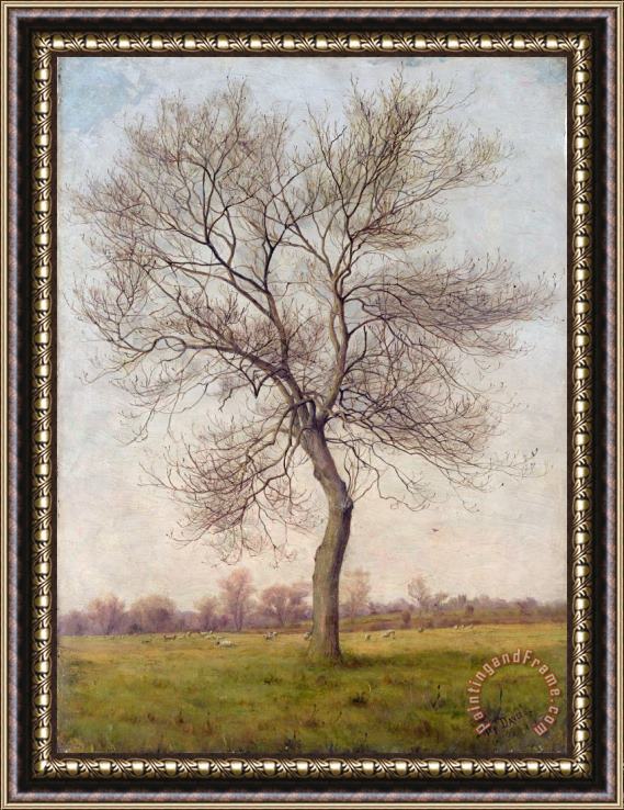 James Hey Davies Study of an Ash Tree in Winter Framed Painting