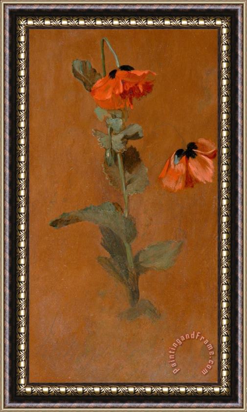 James Inskipp Study of Poppies Framed Painting