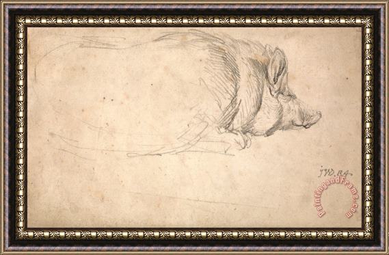 James Ward A Hog, Sleeping Framed Print