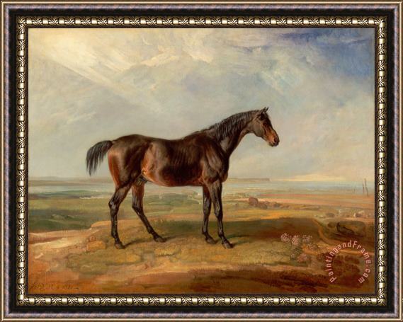 James Ward Dr. Syntax, a Bay Racehorse, Standing in a Coastal Landscape, an Estuary Beyond Framed Print