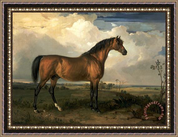 James Ward Eagle, a Celebrated Stallion Framed Painting