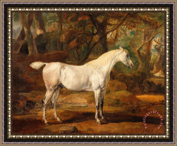 James Ward Grey Arabian Stallion, The Property of Sir Watkin Williams Wynn Framed Painting