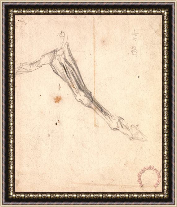 James Ward Horse's Foreleg Possibly a Study for 