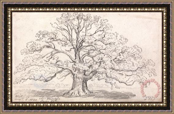James Ward Mr. Howard's Large Oak, August 5, 1820 Framed Print