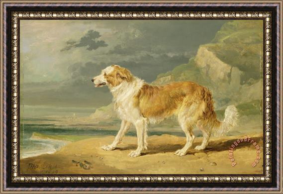 James Ward Rough-coated Collie Framed Painting