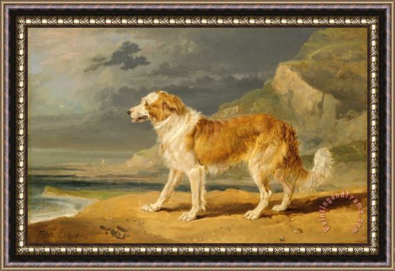 James Ward Rough Coated Collie Framed Painting
