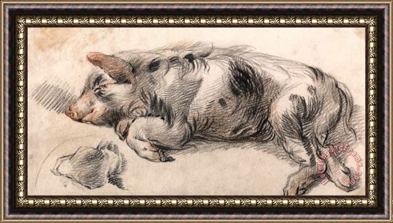 James Ward Sleeping Pig Framed Print