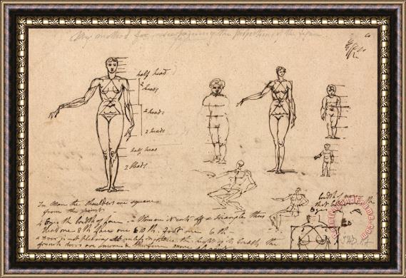 James Ward Studies of Anatomy, Measurements And Writing Framed Painting