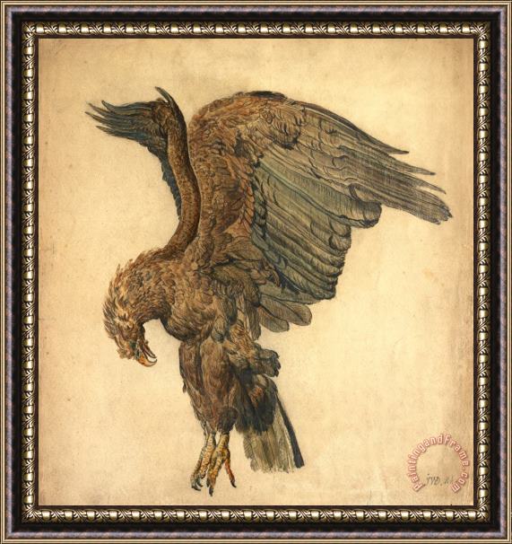 James Ward Study of a Plunging Eagle Framed Painting
